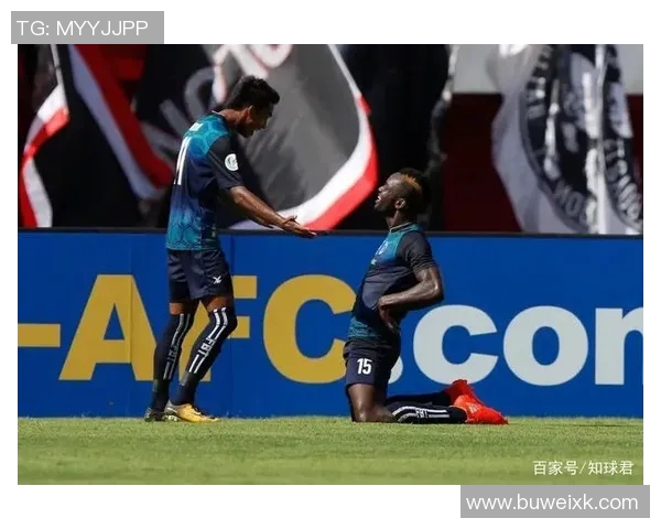 掸联与南缅甸的对决分析及未来发展趋势探讨